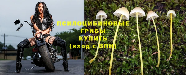мет Абинск