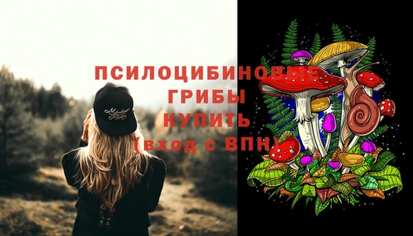 мет Абинск