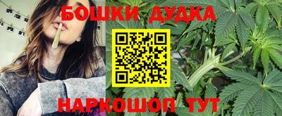 гидропоника Новокубанск