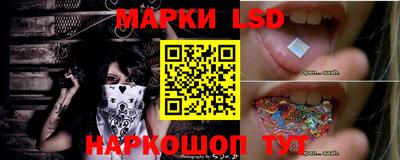 гидропоника Новокубанск