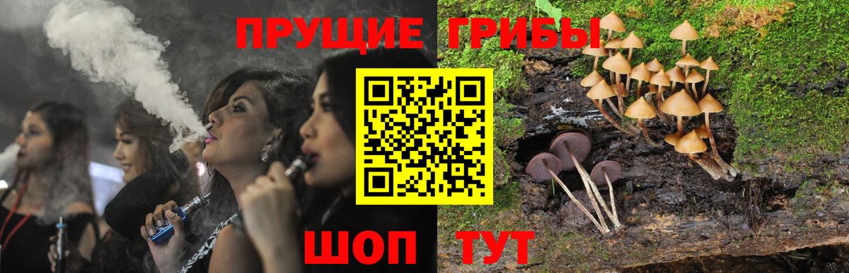 Псилоцибиновые грибы Psilocybe  где купить наркоту  Новоуральск  Вход с VPN  Галлюциногенные грибы GOLDEN TEACHER 